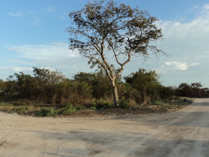 Terreno en Isla Aguada